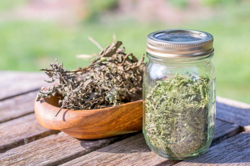 how to dry thyme at home