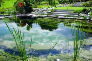 What is the Maintenance of Natural Pools
