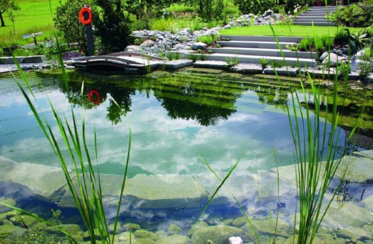 What is the Maintenance of Natural Pools?