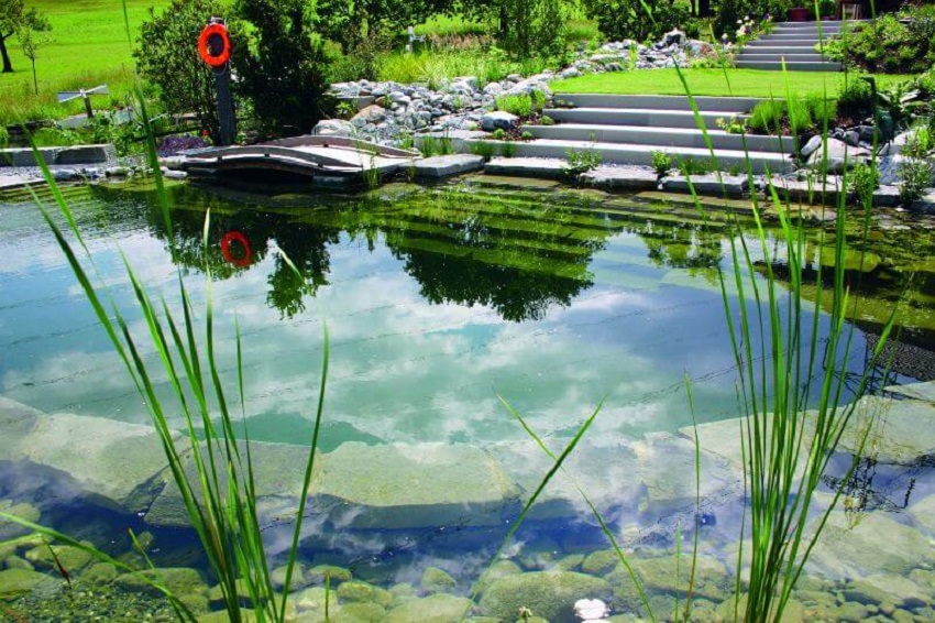 What is the Maintenance of Natural Pools