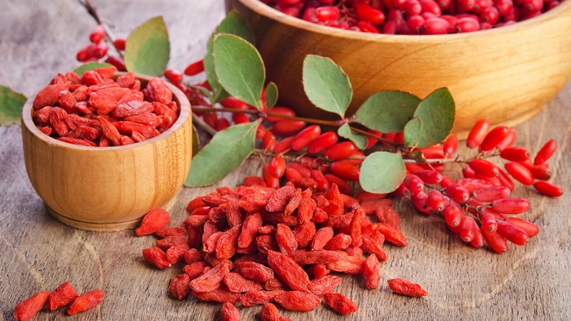 berberine